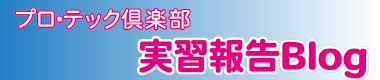 実習報告blog