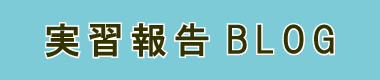 実習報告BLOG
